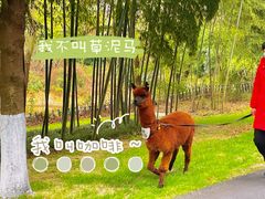 -天目湖涵田半山温泉水乐园