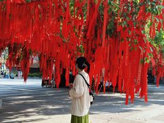 -西双版纳勐泐文化旅游区