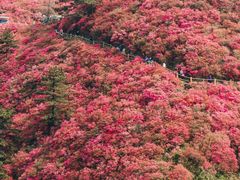 -木兰云雾山