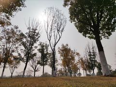 -盘龙城国家考古遗址公园