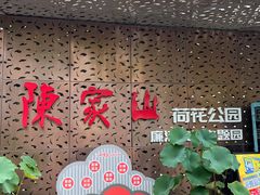 -陈家山荷花公园