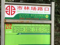 -田心森林公园