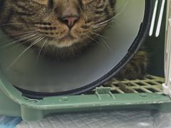 -宠颐生汉谟拉比宠物医院