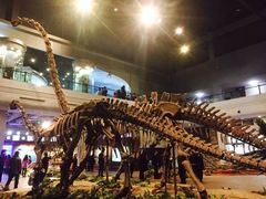 -自贡恐龙博物馆