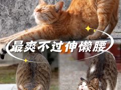 -中国农业博物馆