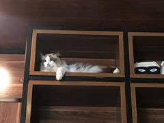 -咖法森林·咖啡  酒吧(天河店)