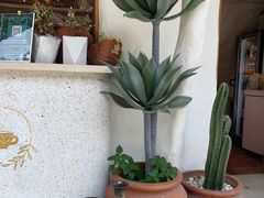 -Sirena海妖日咖夜酒