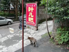 -夹江老头叶儿粑(石雁儿小区店)