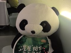 -眉州东坡·熊猫主题餐厅(枫蓝店)