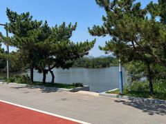 -日照海滨国家森林公园