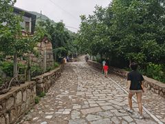 -大岭沟猕猴桃谷风景区