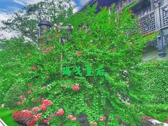 -上海皇廷花园酒店·西餐厅·自助餐
