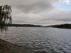 -西湖外事游船(花港观鱼码头)