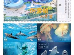 -临沂极地海洋王国