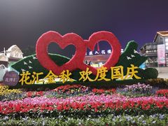 -花博汇(知音花月夜)