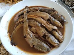 海鲶鱼-渔民船说·北塘海鲜·天津菜·海肠捞饭(北塘古镇店)