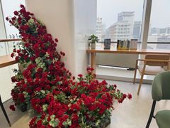 -朵云书院(滴水湖店)