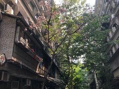 -清泉馆(望江路店)