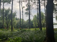 -黄兴公园
