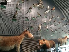 -中国湿地博物馆
