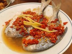 -优护优家Ucare月嫂育儿嫂陪伴师(静安店)