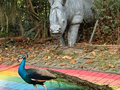 -深圳野生动物园