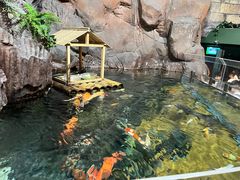 -上海海洋水族馆