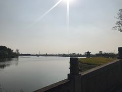 -杭州湾海上花田景区