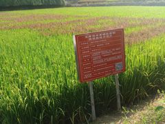 -韶山毛泽东同志故居