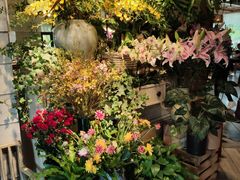 -春暖花开(西溪店)