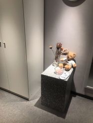 -三只熊皮肤管理中心旗舰店