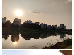 -泥巴沱风景区-毗河绿道
