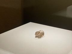 -临沂市博物馆