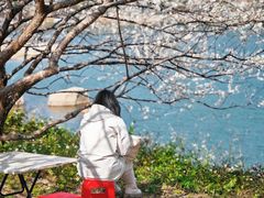 -广州市流溪河国家森林公园