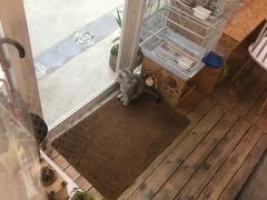 -拾壹cafe·工作室