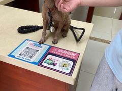 -艾贝尔宠物医院 ·内科全科(梁溪路店)