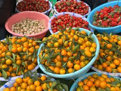 -南坛综合农贸市场