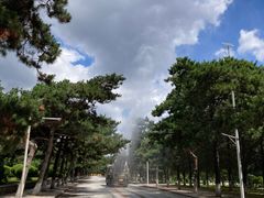 -东北大学(南湖校区)