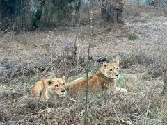 -西安秦岭野生动物园