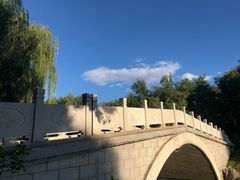 -大兴滨河森林公园