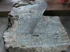 -福建土楼（华安）旅游区•大地土楼群