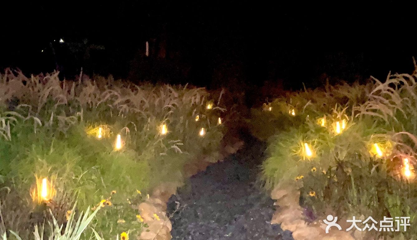 凉风习习，夏日限定