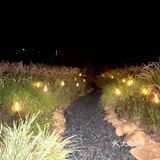 凉风习习，夏日限定