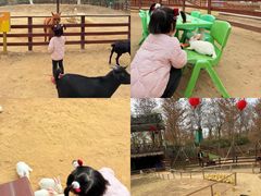 -盈香心动乐园