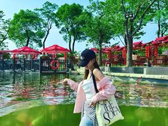 -南京银杏湖乐园