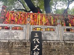 -大槐树寻根祭祖园