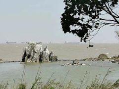 -上海吴淞炮台湾国家湿地公园
