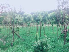 -贵阳市花溪国家城市湿地公园