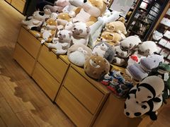 -九木杂物社(大东方百货店)