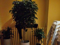 -西贝(六里桥旗舰店)